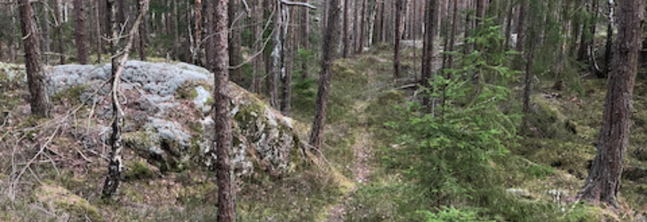 Treningsløp torsdag 7. april på Fjell